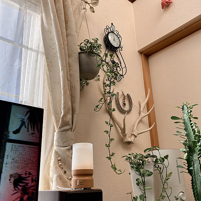 Megumiさんの実例写真