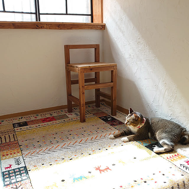 ayaさんの実例写真