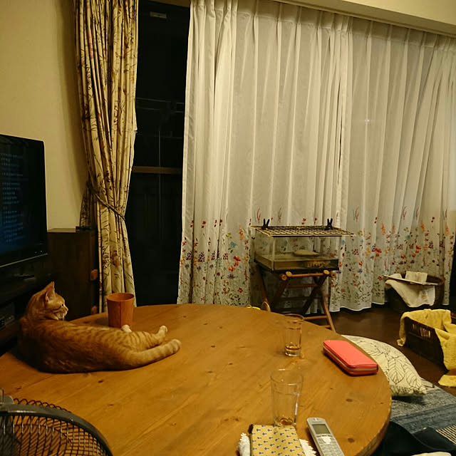 okyosan101さんの実例写真