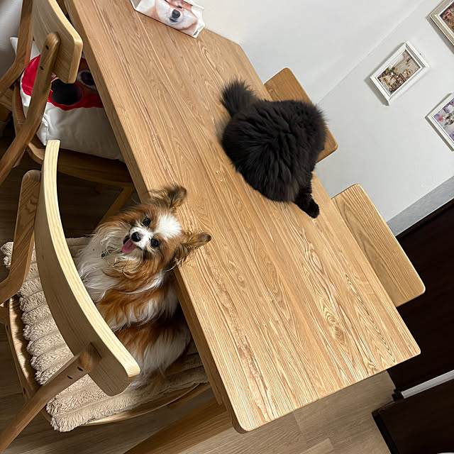 buddykoさんの部屋