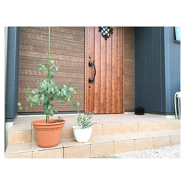 mayuさんの実例写真