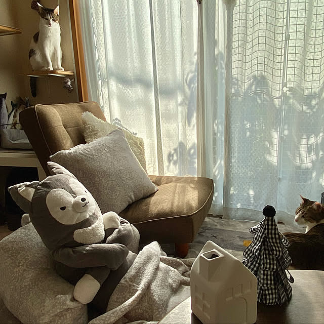 Lufuさんの実例写真