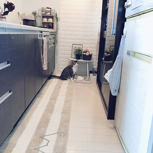 nekomiさんの実例写真