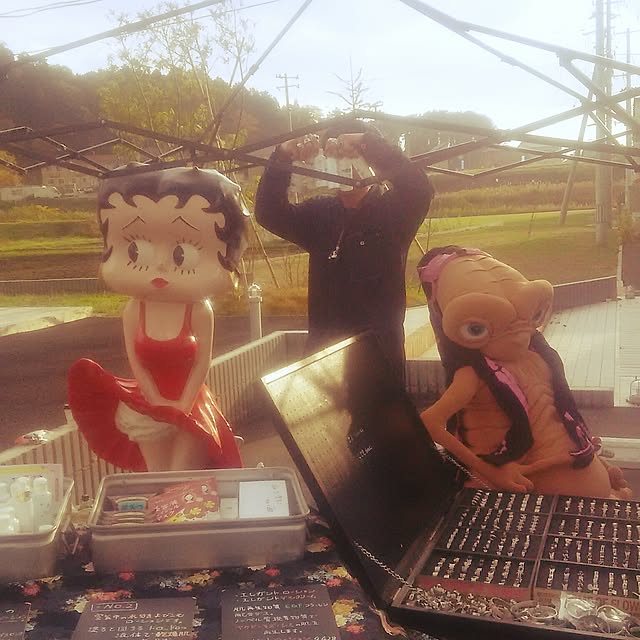 実例写真