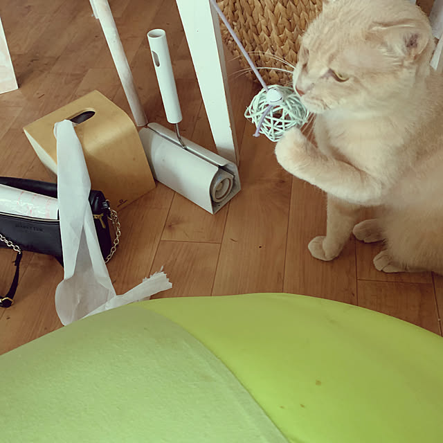 oga99さんの実例写真