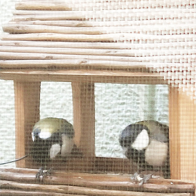 opiopiopiさんの実例写真