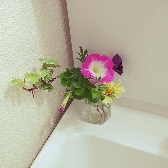 katuさんの実例写真