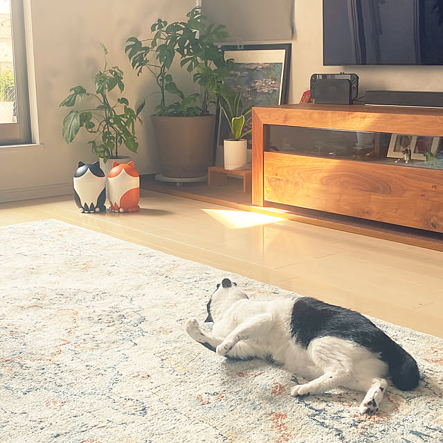 y.さんの実例写真