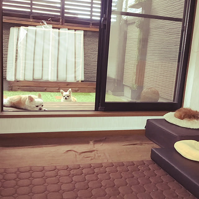 splush1219さんの実例写真