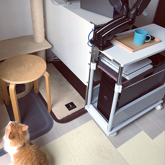 w_fox0713さんの実例写真