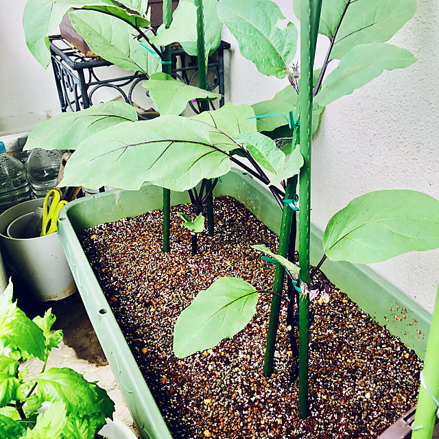 hanachanさんの部屋