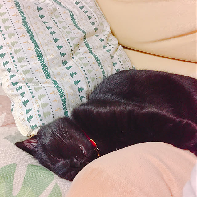 nanaさんの実例写真