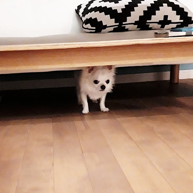 cherryさんの実例写真