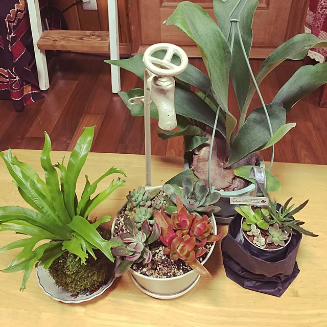 jun.bさんの実例写真