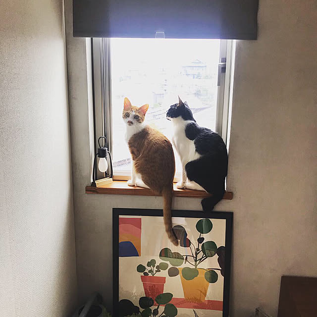 y.さんの実例写真