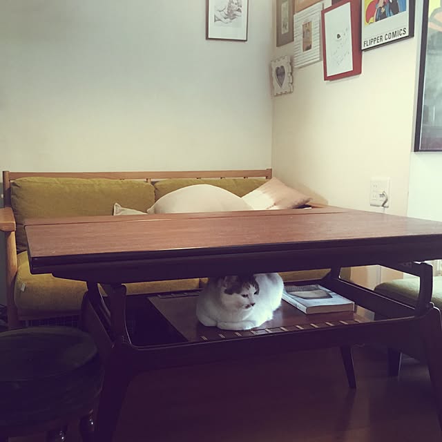 nanaさんの実例写真