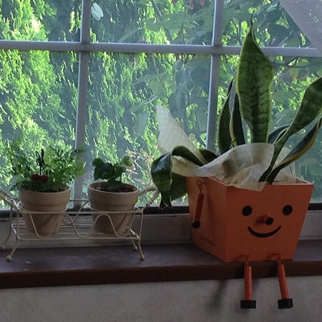 Kaoruさんの実例写真