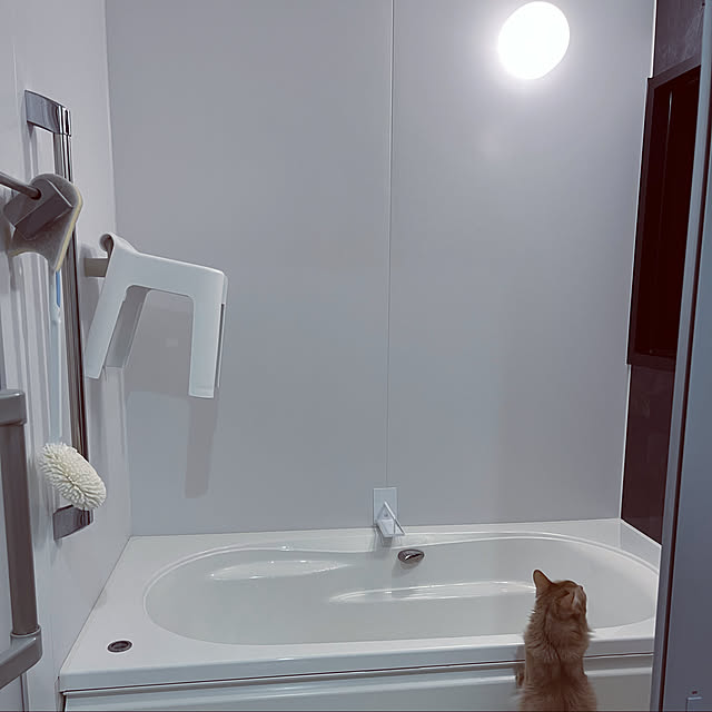 jiru_somariさんの実例写真