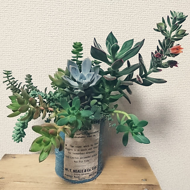 buuさんの実例写真