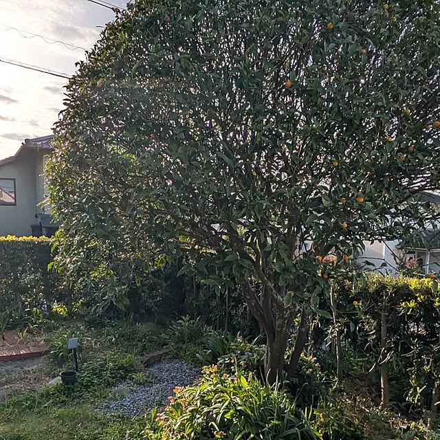 fuchan0930さんの部屋