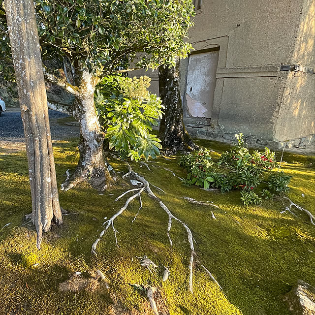 fanticさんの実例写真