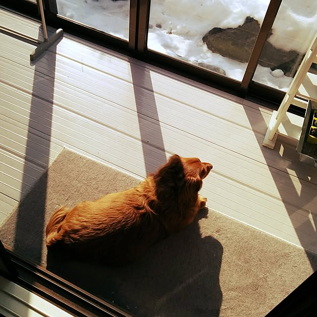 satoさんの実例写真