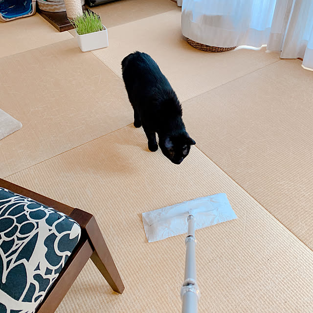 mameazさんの部屋