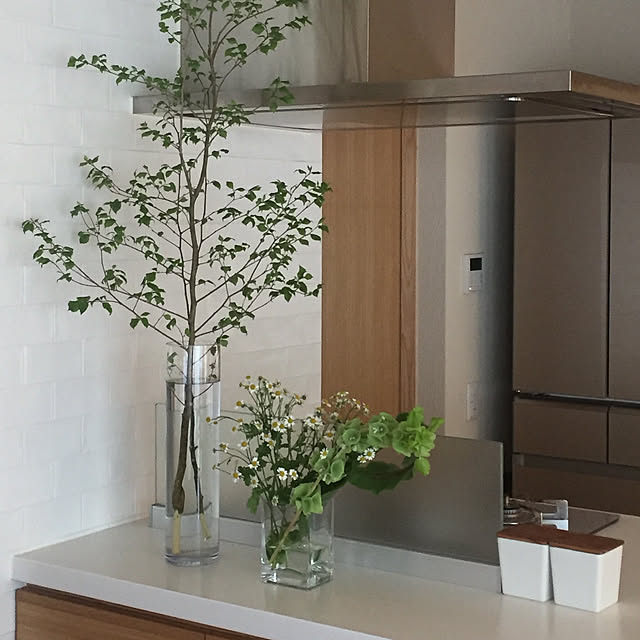 キッチン/観葉植物のインテリア実例 - 2018-05-01 15:39:10
