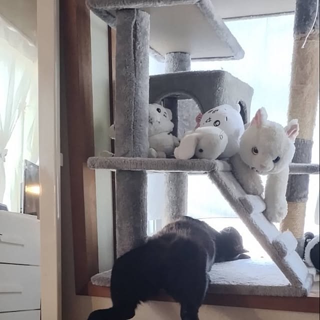 Tさんの実例写真