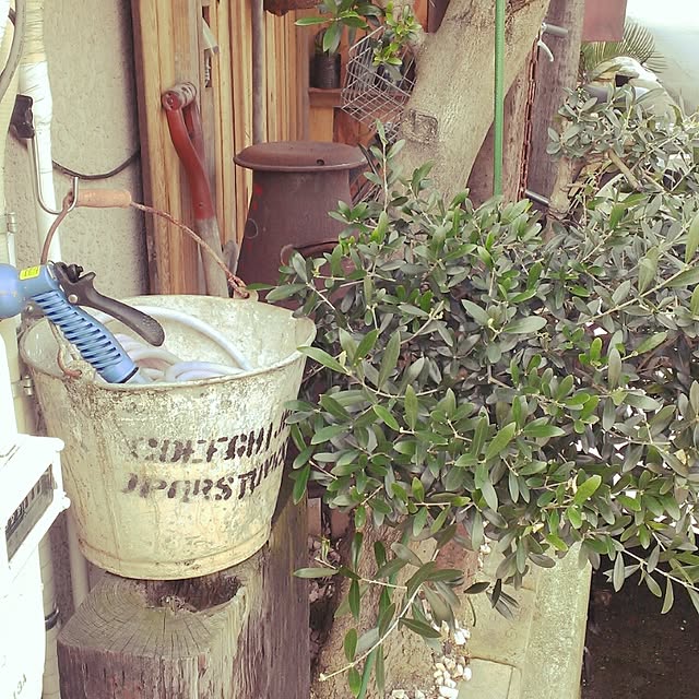 OMasaruさんの実例写真