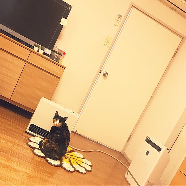 y._.yさんの実例写真