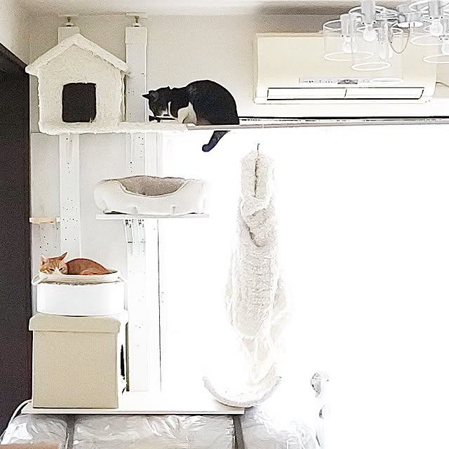 F11819roomさんの実例写真