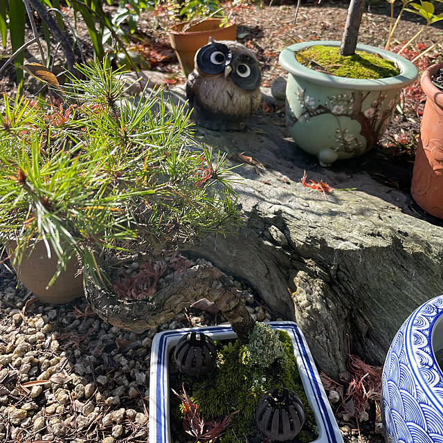 shin0719さんの部屋