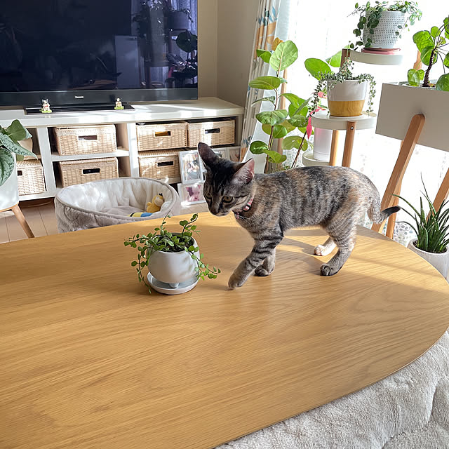 natsuさんの部屋