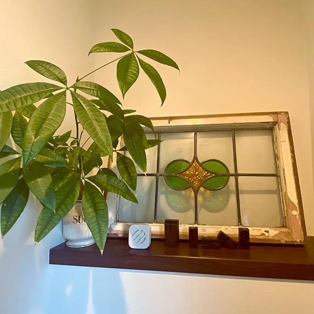 cocochiさんの部屋