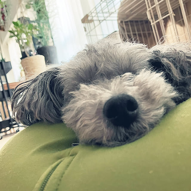 coochanさんの部屋