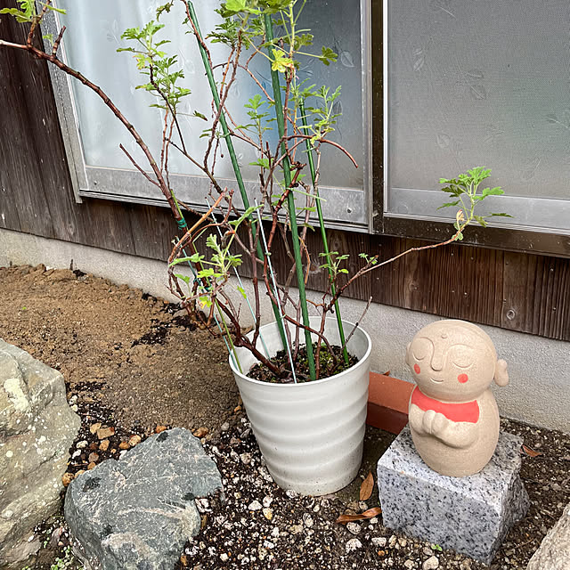 shin0719さんの実例写真