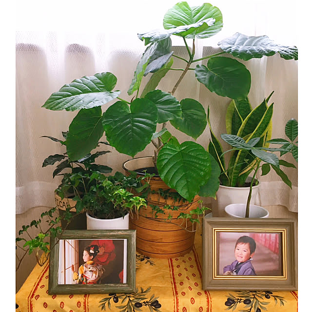mommyさんの実例写真