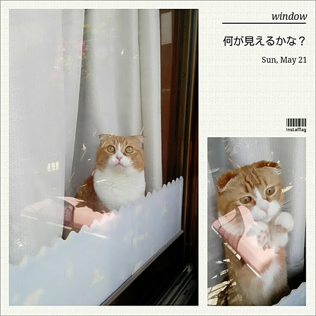 kumingさんの実例写真