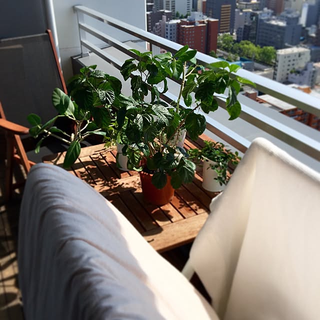 mangomilkさんの実例写真