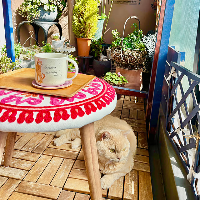 naokoさんの部屋