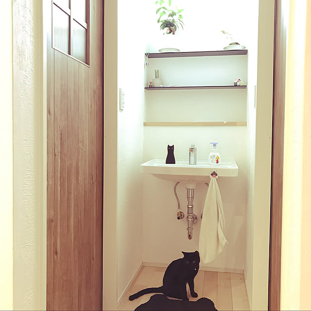 utasさんの実例写真