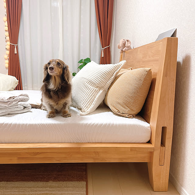 rinoさんの実例写真