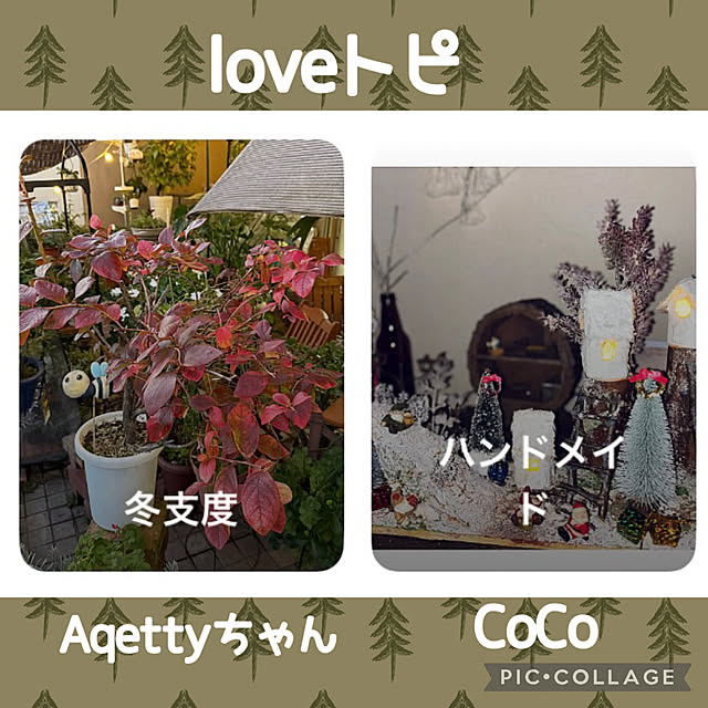 CoCo0617さんのお部屋の写真