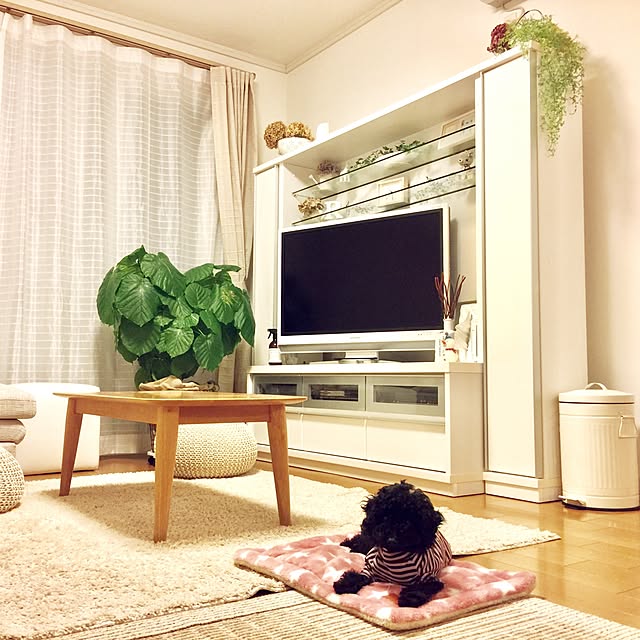 UNI.mamaさんの実例写真