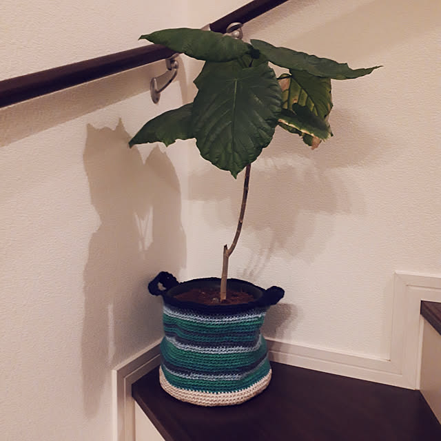 m.coccoさんの実例写真