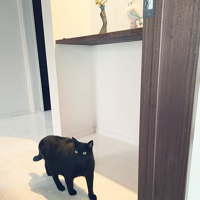 zenoさんの実例写真