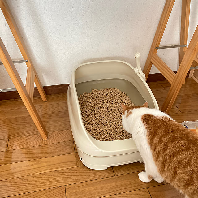 uni48さんの部屋