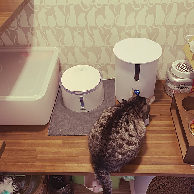akimamさんの実例写真