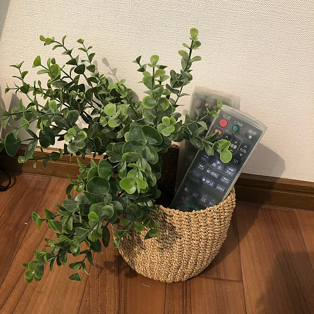 Sachikoさんの実例写真